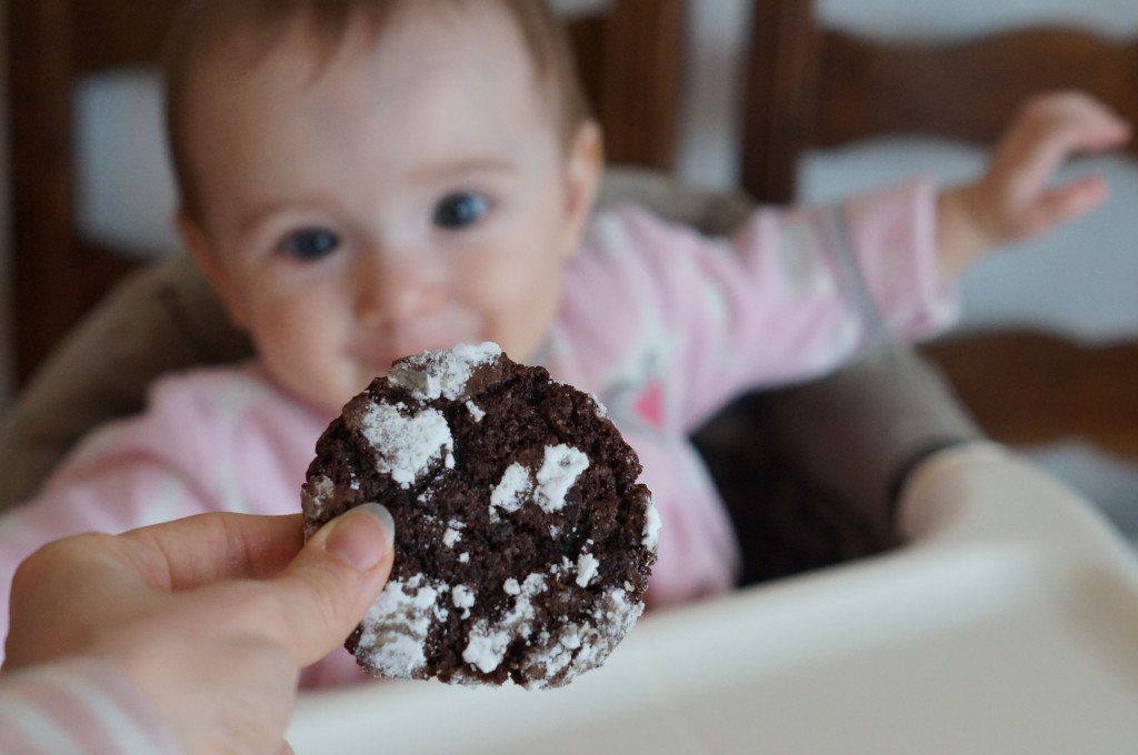 Chocolate Crinkle Cookies