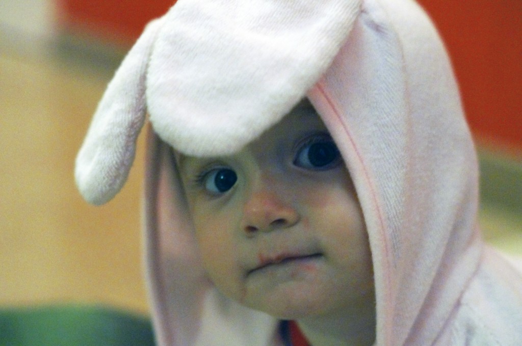 Baby Bunny