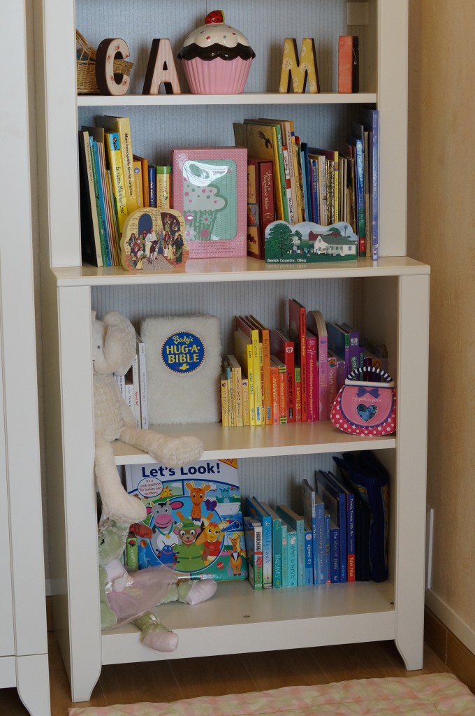 Rainbow Bookshelf