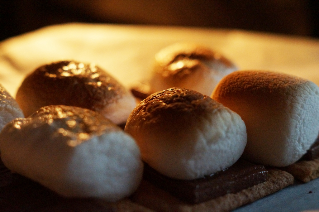 S’more Smores