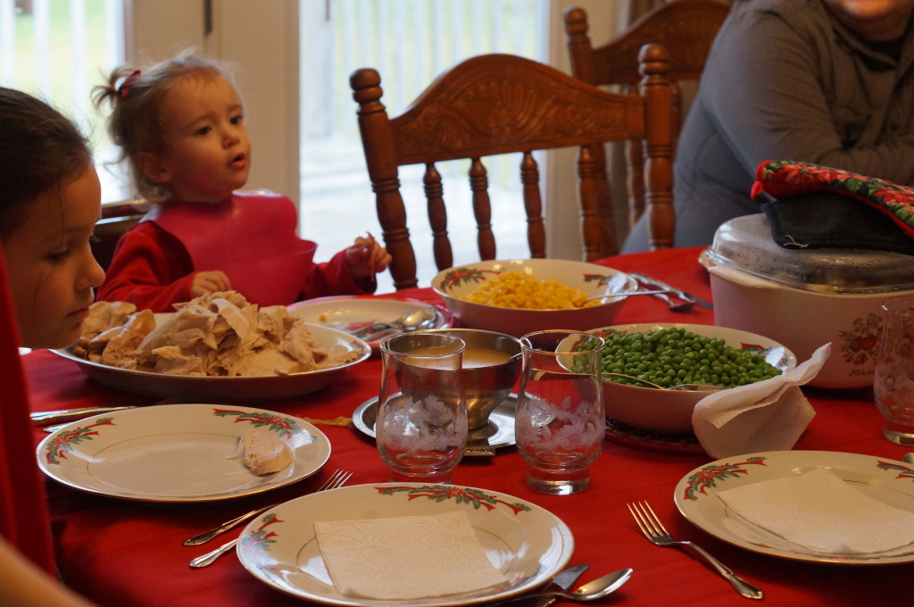 Plaster Christmas Dinner