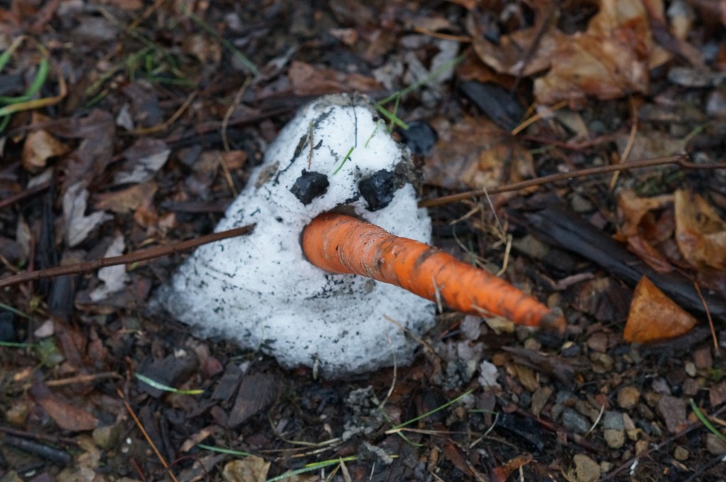 Olaf Saga Continues