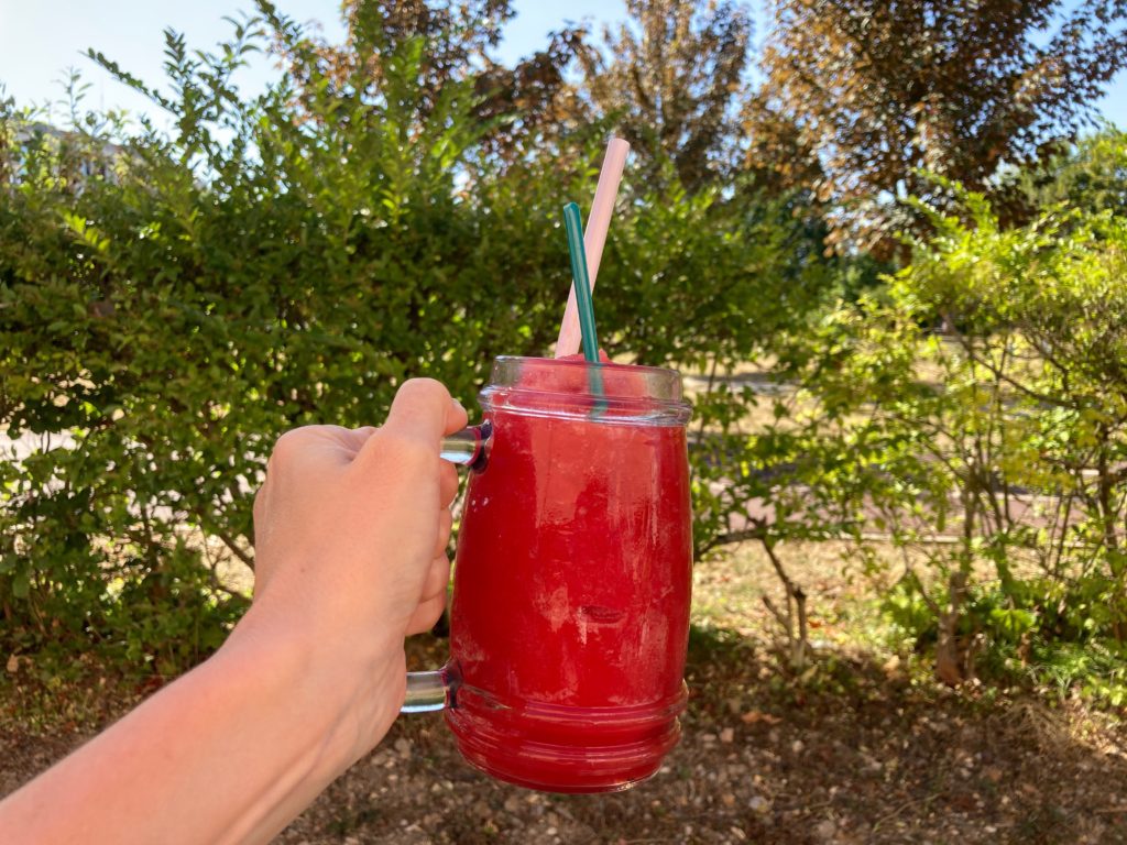 Summer Love – Watermelon Slush