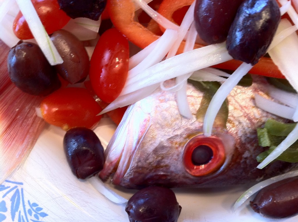 Only You Can Be You – Mediterranean Fish