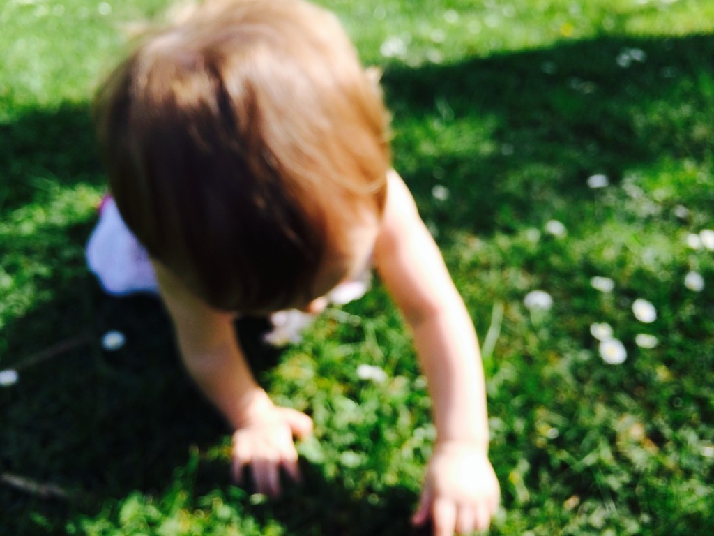 Playful at the Park